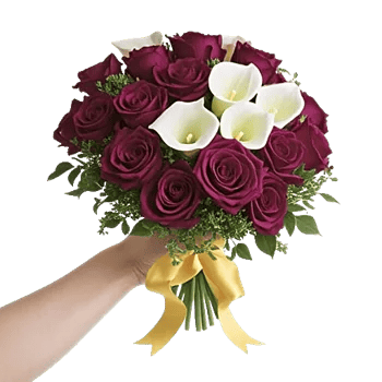 Blushing Rose Symphony