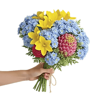 Blossom Petal Serenity