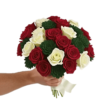 Crimson Rose Elegance