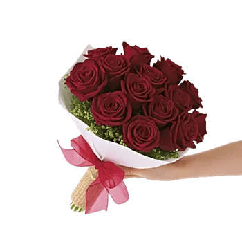 Crimson Rose Elegance