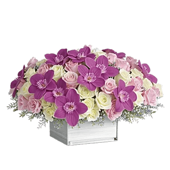 Orchid Bloom Cascade