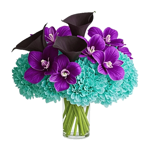 Elegant Calla Lilies