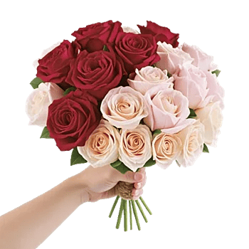 Crimson Rose Elegance