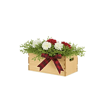 Delicate Petal Cascade