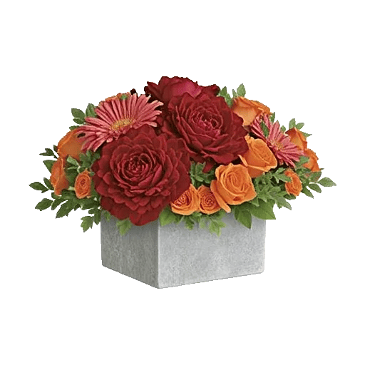 Delicate Petal Cascade