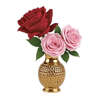 Radiant Rose Symphony