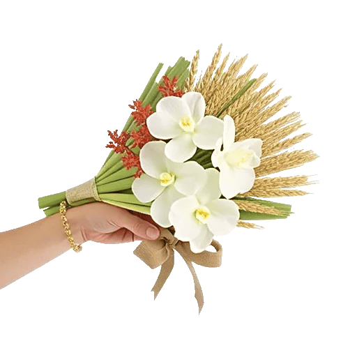 Modern White Orchids