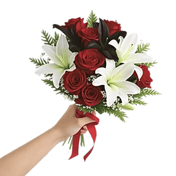 Crimson Rose Elegance