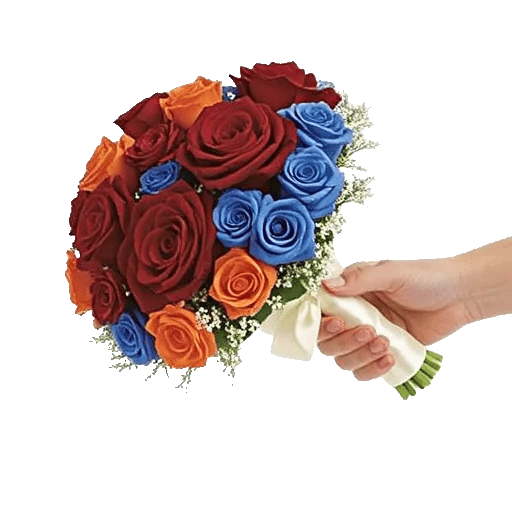 Blushing Rose Symphony