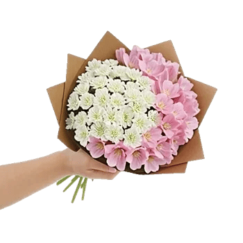 Pink Pastel Roses