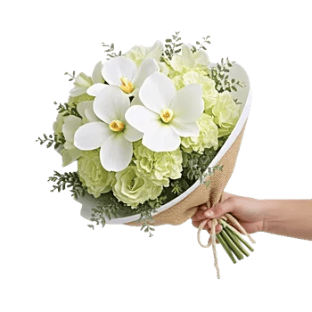 Minimalist White Orchids