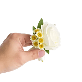 Delicate Petal Cascade