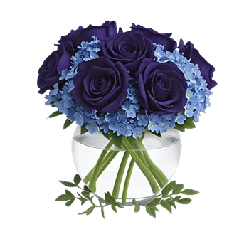 Sapphire Bloom Whisper