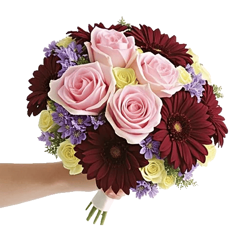 Blushing Rose Symphony