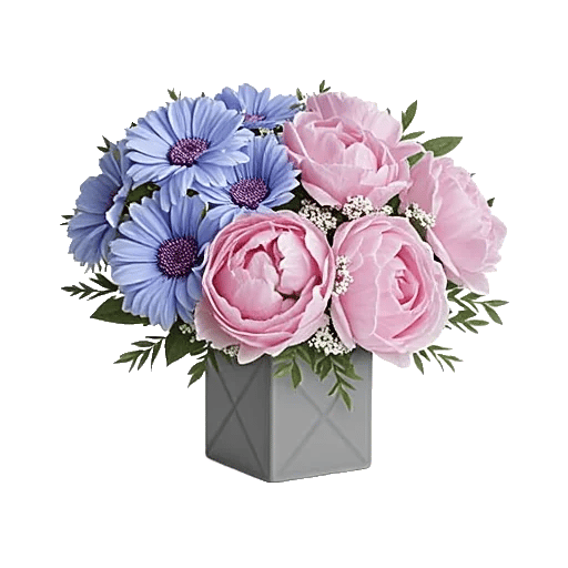 Petal Radiance Bliss