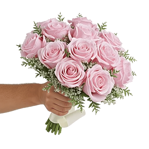 Pastel Pink Roses