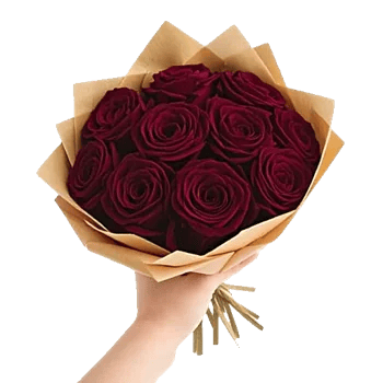 Crimson Rose Elegance