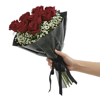 Crimson Rose Elegance