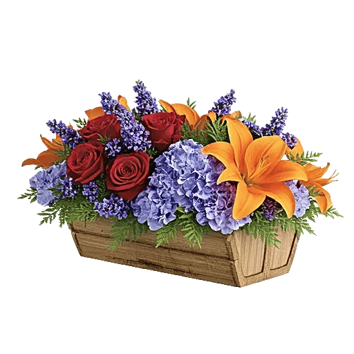 Petal Cascade Delight