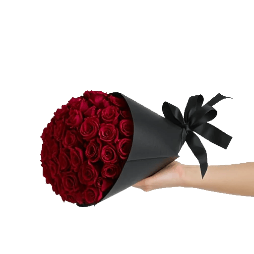 Crimson Rose Elegance