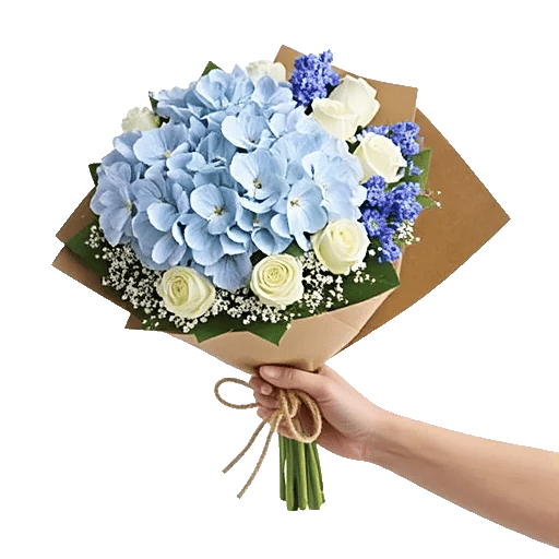 Serene Petal Harmony