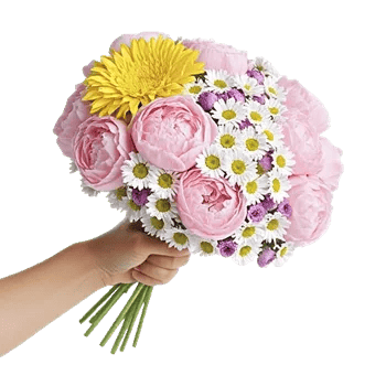 Blossom Harmony Display