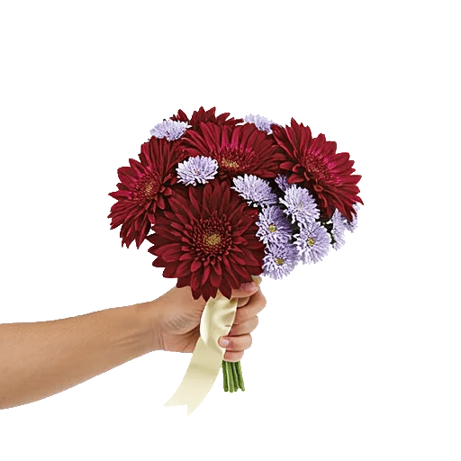 Crimson Blossom Harmony