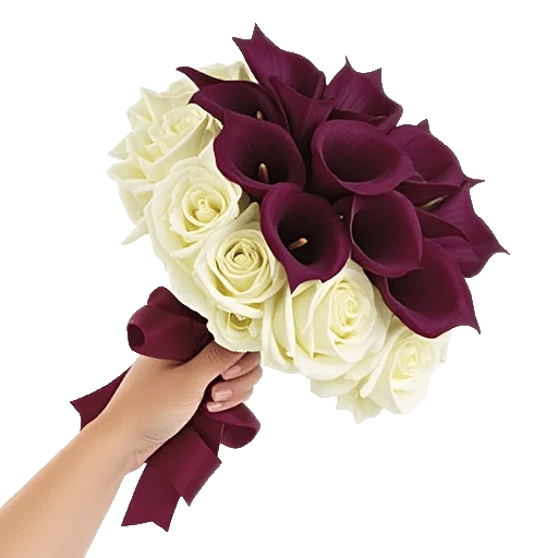 Elegant Calla Lilies