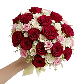 Crimson Rose Elegance