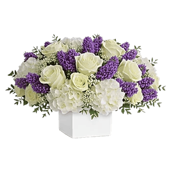 Serene Petal Harmony