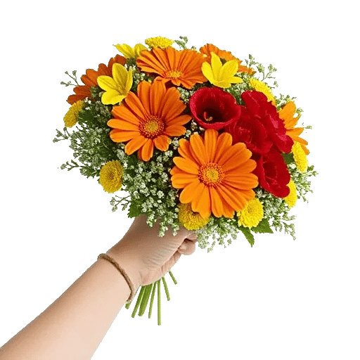 Coral Blossom Harmony