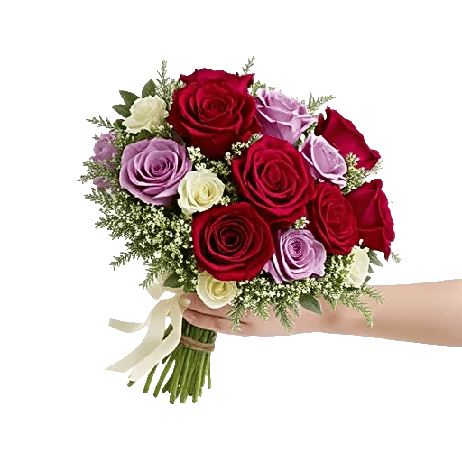 Crimson Rose Elegance