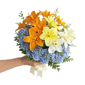 Minimalist White Orchids