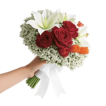 Ivory Blossom Radiance