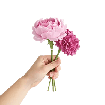 Peony Petal Harmony