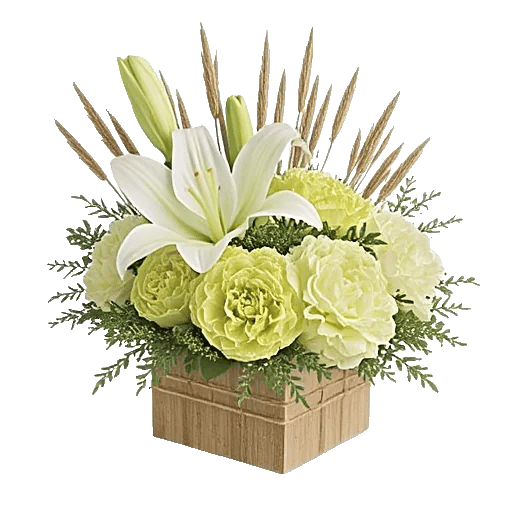 Ivory Blossom Radiance