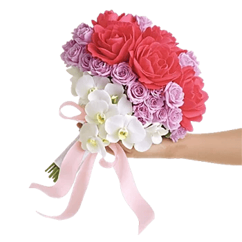 Peony Petal Harmony