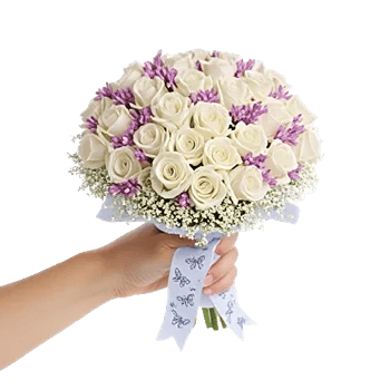 Blushing Rose Symphony