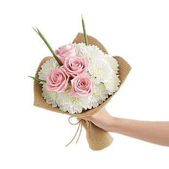 Pastel Pink Roses
