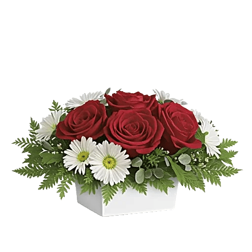 Crimson Rose Elegance