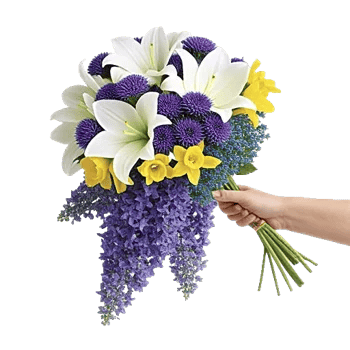 Graceful Lily Display