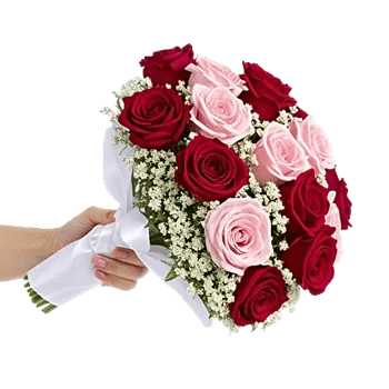 Crimson Rose Elegance