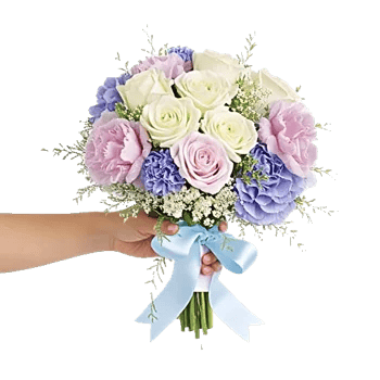 Serene Petal Harmony