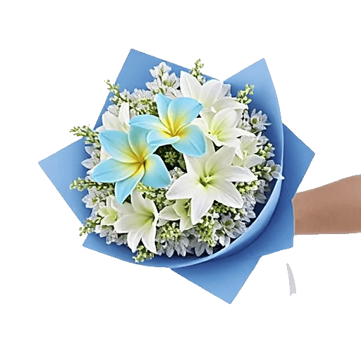 Blossom Harmony Display