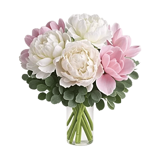 Ivory Blossom Radiance