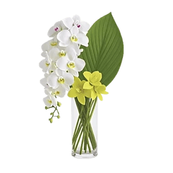 Orchid Bloom Cascade