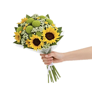 Blossom Petal Serenity