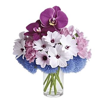 Orchid Bloom Cascade