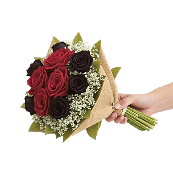 Crimson Rose Elegance