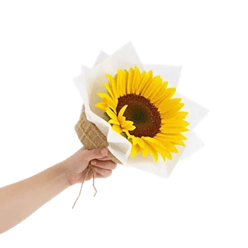 Amber Sunflower Glow